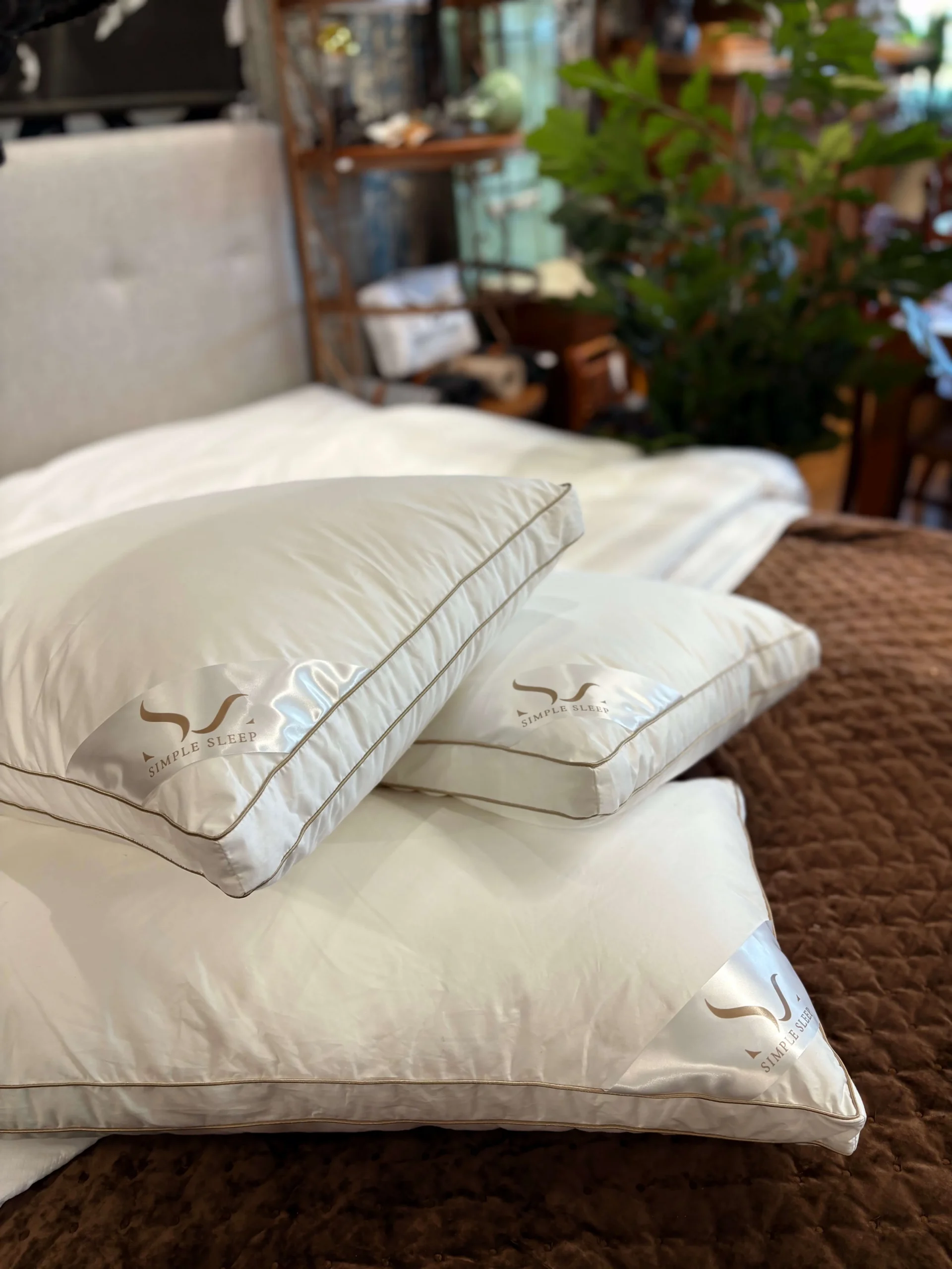 PADI GOLDEN EDGE - Image 3