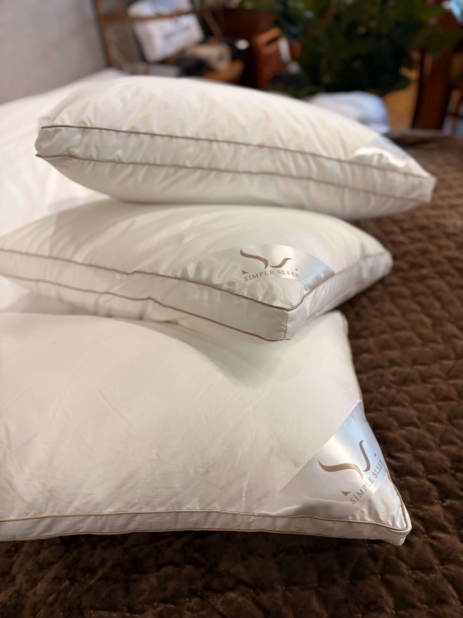 PADI GOLDEN EDGE - Image 6